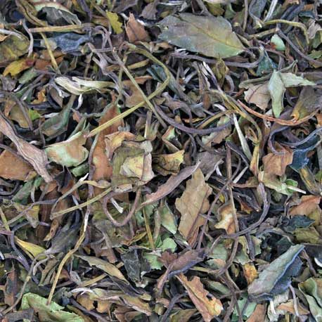 Té blanco pai mu tan